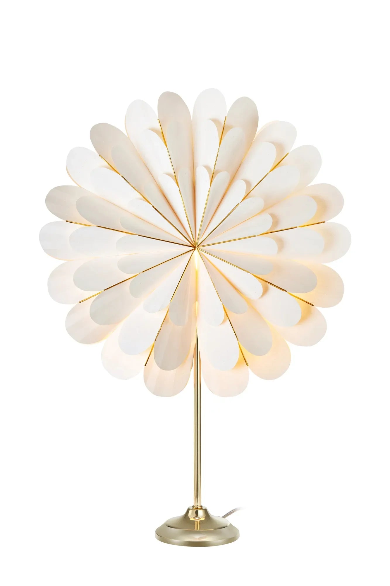 Marigold Table Star White