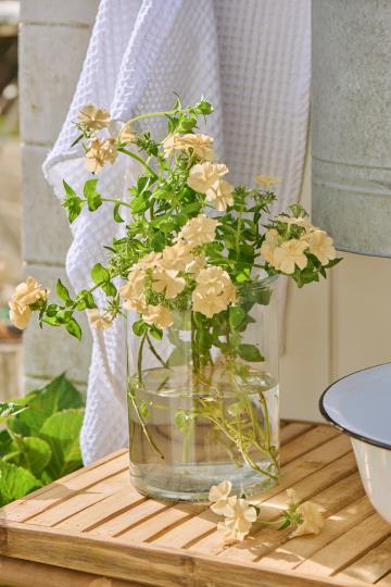 Vase Hannah klart cylinderformet glas