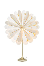 Marigold Table Star White