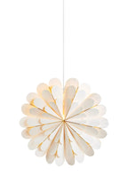Marigold Star White 45 cm
