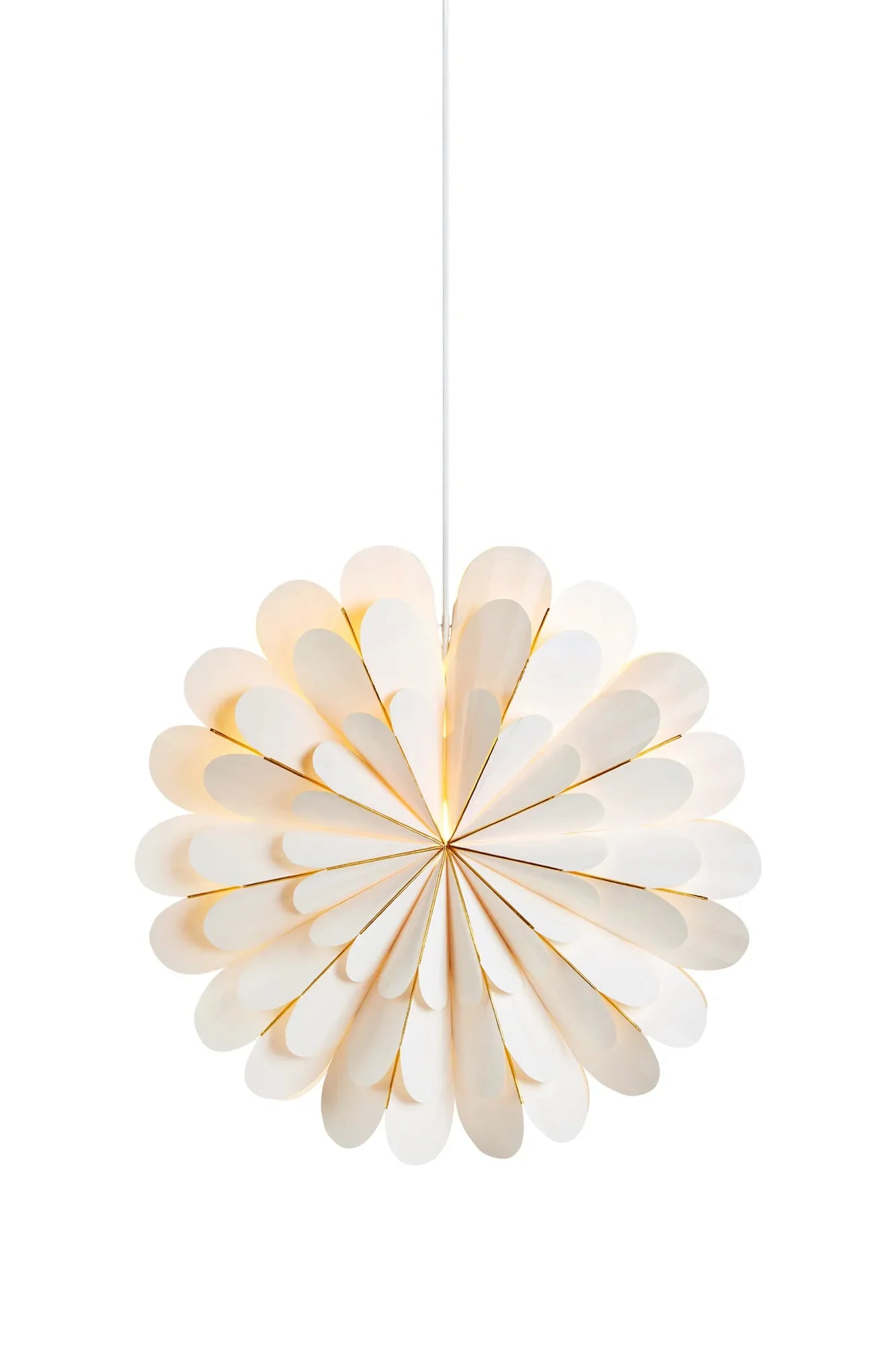 Marigold Star White 45 cm