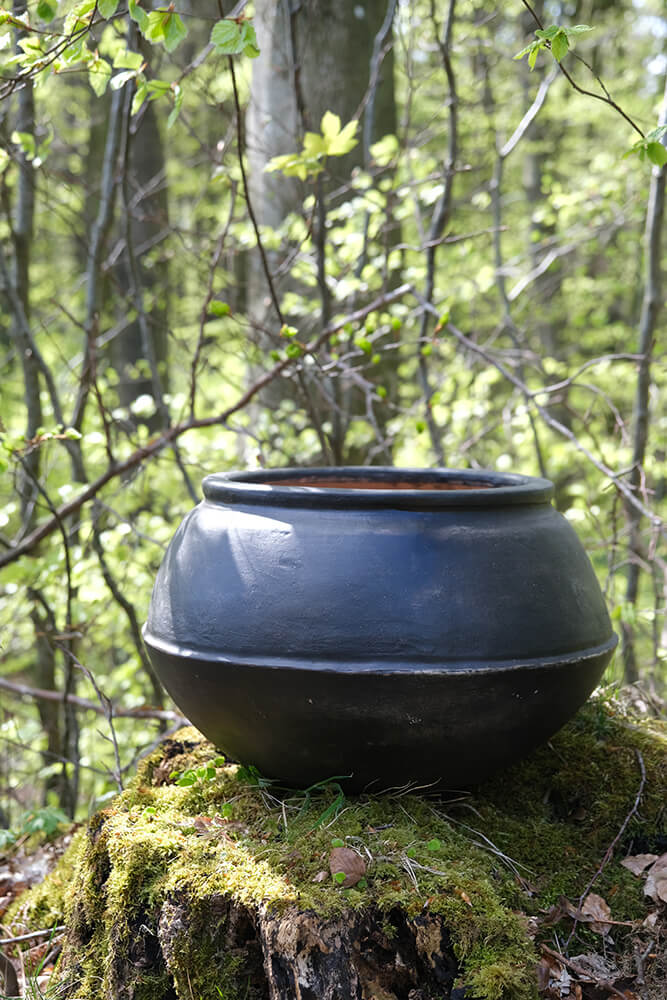 Benedict lerkrukke - L