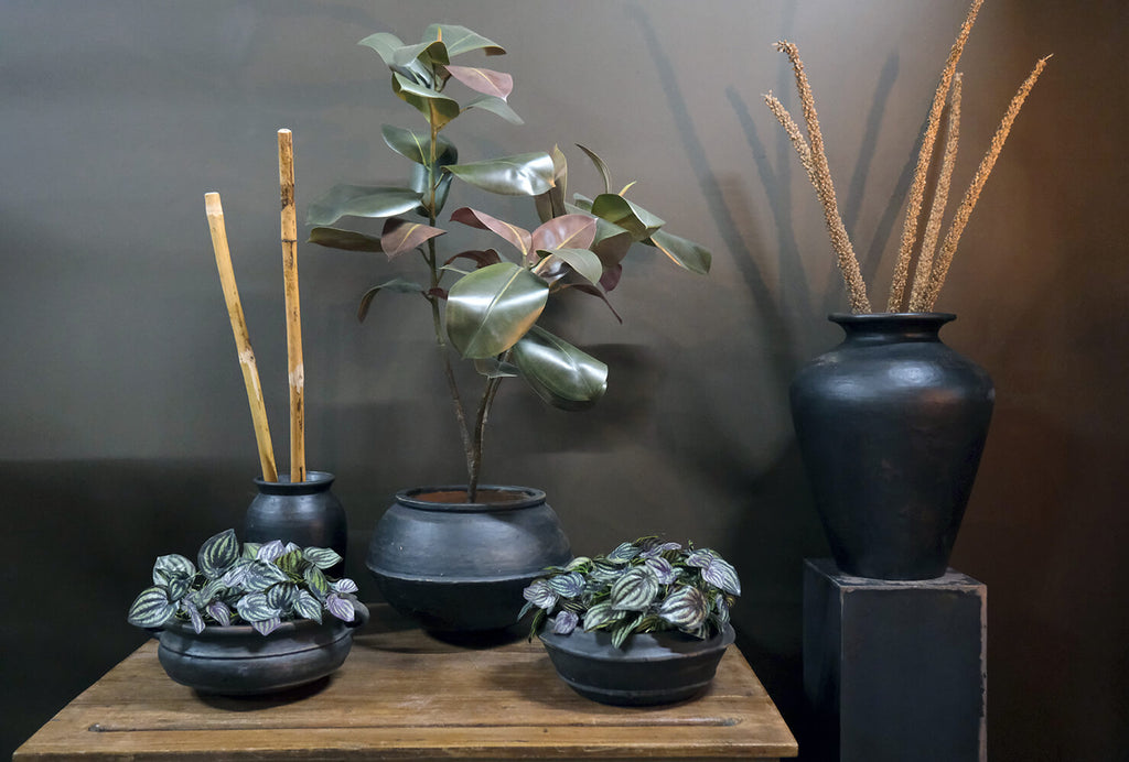 Benedict lerkrukke - L