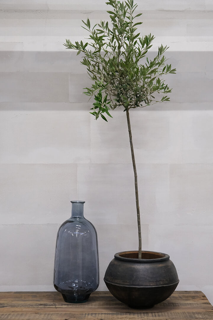 Benedict lerkrukke - L