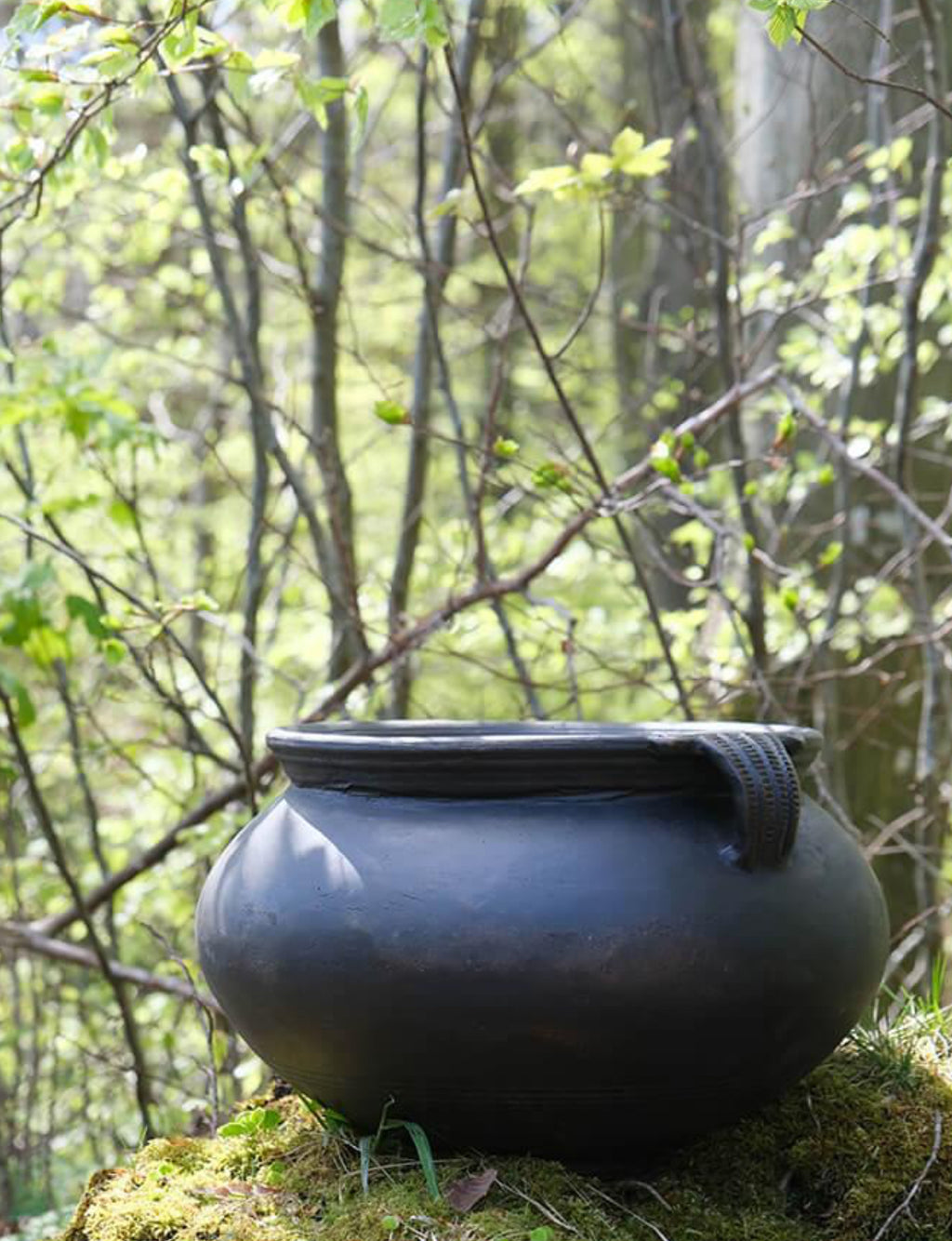 Botanic lerkrukke med håndtag - L